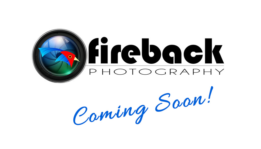 FIREBACK PHOTOGRAPHY